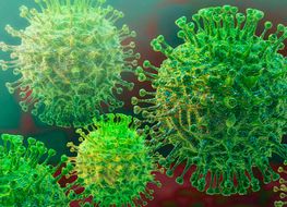 Farmacia Mirón virus